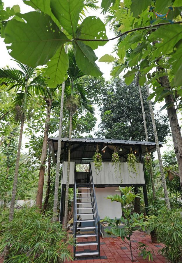 Serenity Villa And Treehouse 帕拉克卡德 外观 照片
