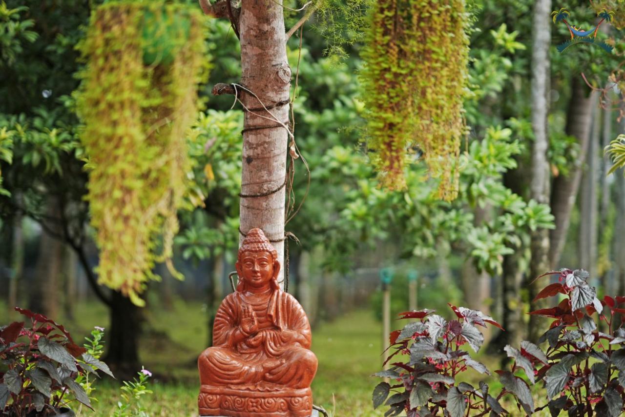Serenity Villa And Treehouse 帕拉克卡德 外观 照片