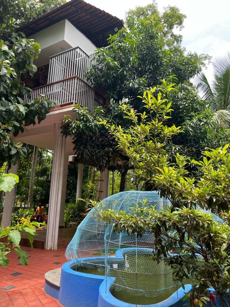Serenity Villa And Treehouse 帕拉克卡德 外观 照片
