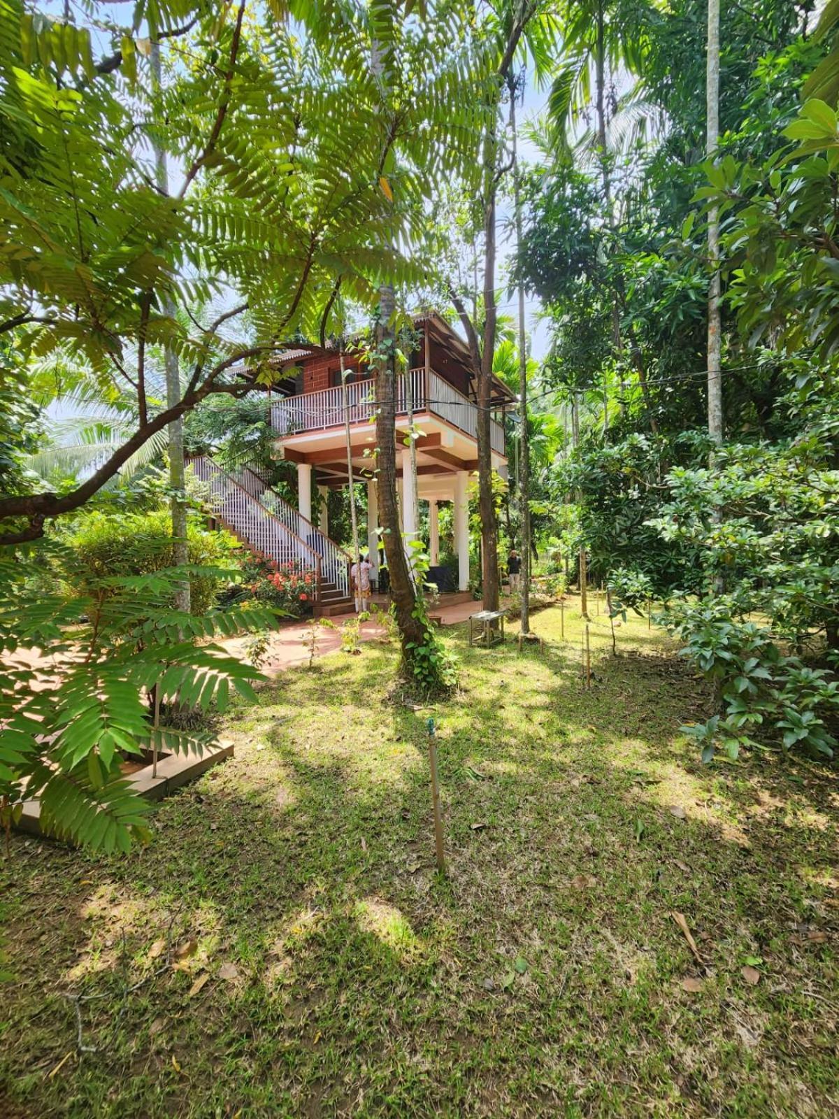 Serenity Villa And Treehouse 帕拉克卡德 外观 照片
